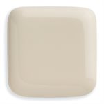 TOTO SoftClose Non Slamming, Slow Close Elongated Toilet Seat and Lid, Bone - SS124#03
